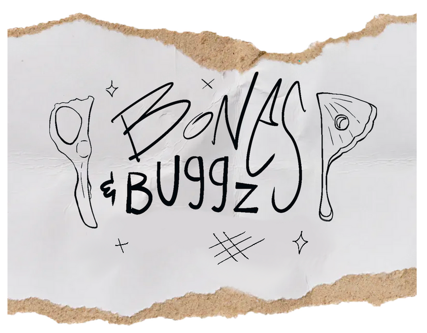 link to instagram (: